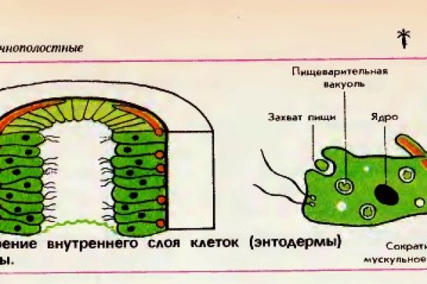 Кракен маркер даркнет