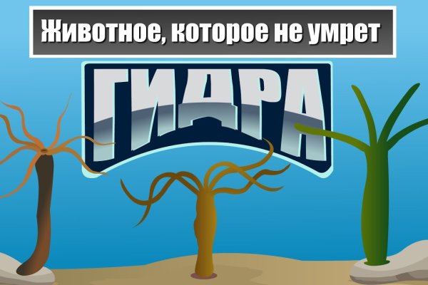 Kraken что это за сайт