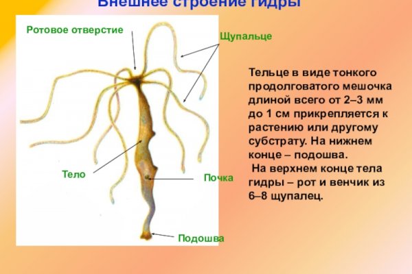 Адрес сайта кракен