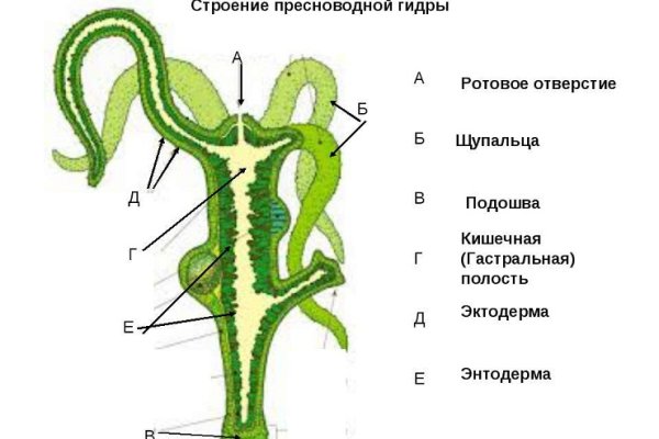 Kraken сайт магазин