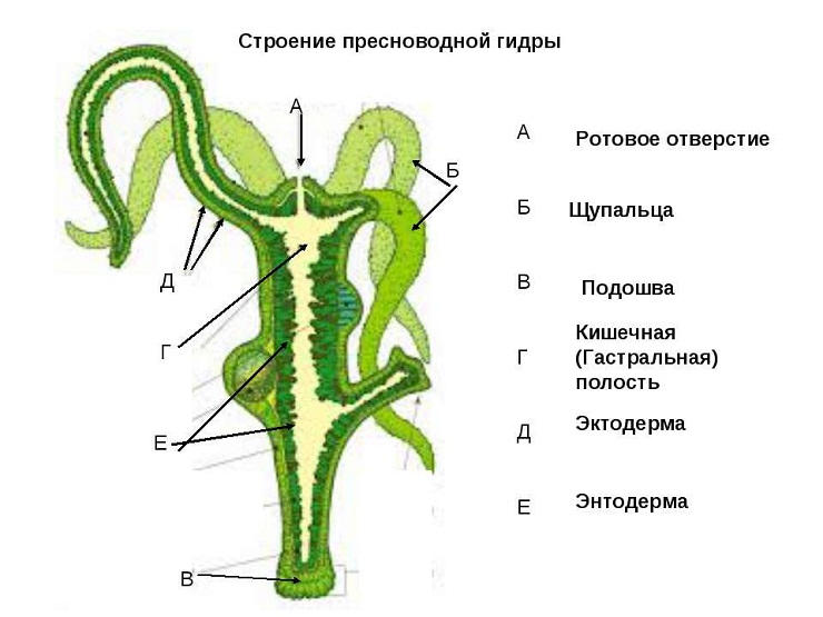 Кракен вход зеркало